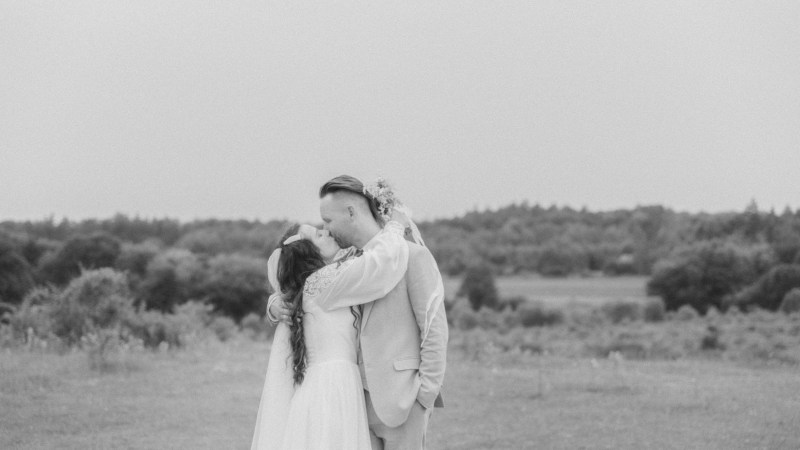 A&M wśród pastwisk